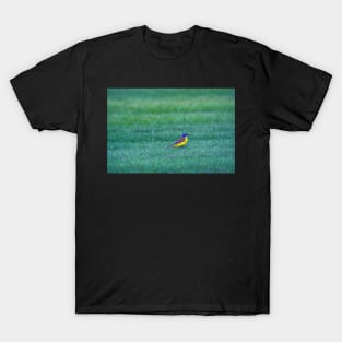 afternoon frolic T-Shirt